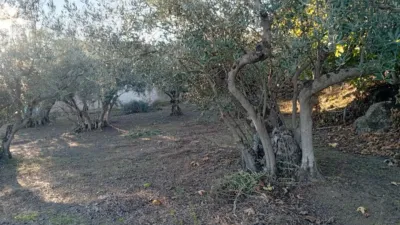 Rustic Finca in Villanueva de La Vera photo 27