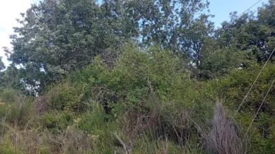 Rustic Finca in Losar de La Vera photo 3