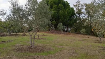 Rustic finca in Villanueva de La Vera photo 57
