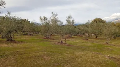 Rustic finca in Villanueva de La Vera photo 15