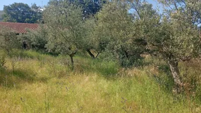 Chalet in Villanueva de La Vera photo 45