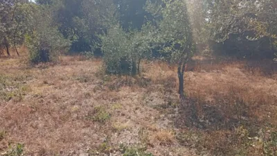 Rustic farm in Villanueva de La Vera photo 3