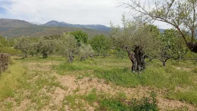 Rustic finca in Villanueva de La Vera photo 44