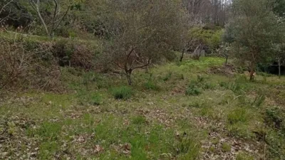 Rustic Finca in Valverde de La Vera photo 33