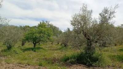Rustic finca in Villanueva de La Vera photo 50