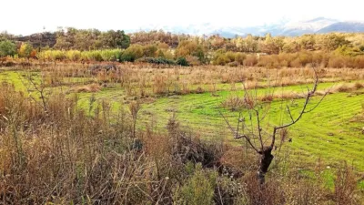 Rustic farm in Villanueva de La Vera photo 32
