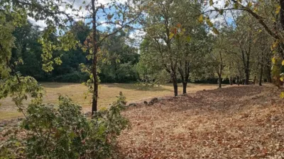 Rustic Finca in Villanueva de La Vera photo 20