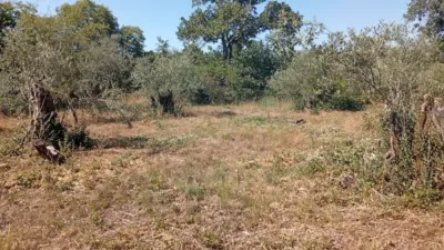 Rustic farm in Villanueva de La Vera photo 37