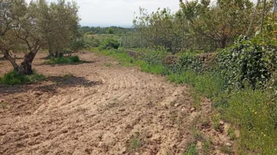 Rustic Finca in Villanueva de La Vera photo 25
