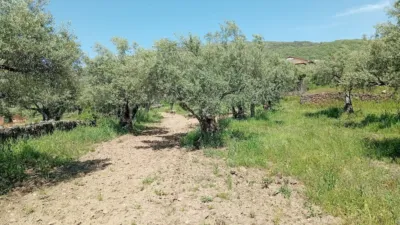 Rustic Finca in Villanueva de La Vera photo 58