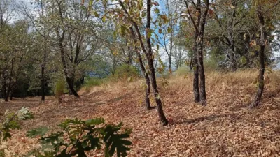 Rustic Finca in Villanueva de La Vera photo 16