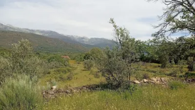 Rustic finca in Villanueva de La Vera photo 77