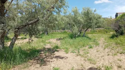 Rustic Finca in Villanueva de La Vera photo 59