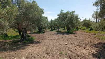 Rustic Finca in Villanueva de La Vera photo 8