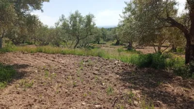 Rustic Finca in Villanueva de La Vera photo 22