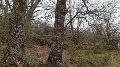 Rustic Finca in Valverde de La Vera photo 14