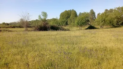 Rustic farm in Talaveruela de La Vera photo 65