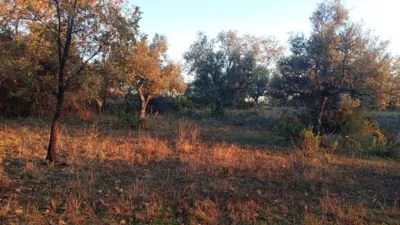 Rustic farm in Viandar de La Vera photo 11