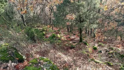 Rustic Finca in Villanueva de La Vera photo 19