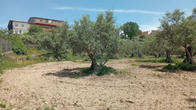 Rustic Finca in Villanueva de La Vera photo 30