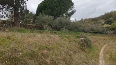 Rustic Finca in Villanueva de La Vera photo 53