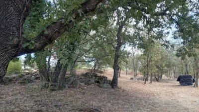 Rustic Finca in Villanueva de La Vera photo 120