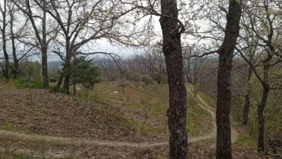 Rustic Finca in Valverde de La Vera photo 12