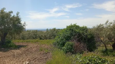 Rustic Finca in Villanueva de La Vera photo 7