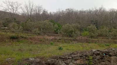 Rustic Finca in Valverde de La Vera photo 2