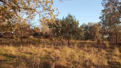 Rustic farm in Viandar de La Vera photo 7