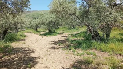 Rustic Finca in Villanueva de La Vera photo 57