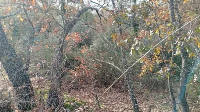 Rustic Finca in Viandar de La Vera photo 23