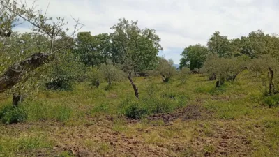 Rustic finca in Villanueva de La Vera photo 43