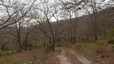 Rustic Finca in Valverde de La Vera photo 15