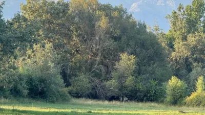 Rustic in Madrigal de La Vera photo 71