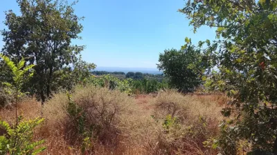 Rustic finca in Talaveruela de La Vera photo 2
