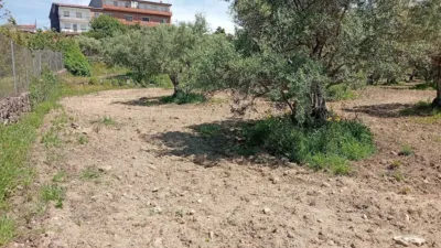 Rustic Finca in Villanueva de La Vera photo 31