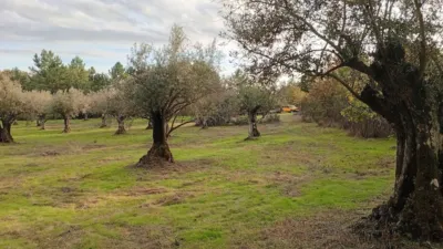 Rustic Finca in Villanueva de La Vera photo 8