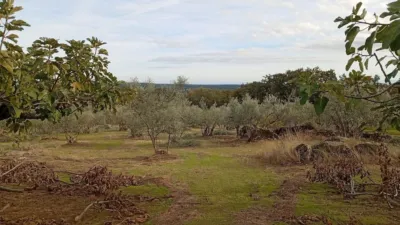 Rustic finca in Villanueva de La Vera photo 35