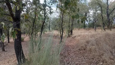 Rustic Finca in Villanueva de La Vera photo 50