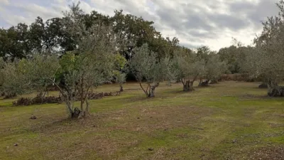 Rustic finca in Villanueva de La Vera photo 18