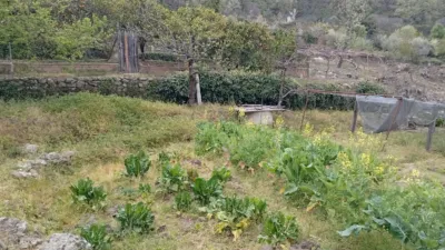 Rustic Finca in Villanueva de La Vera photo 23