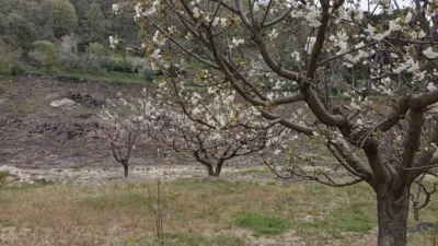 Rustic Finca in Villanueva de La Vera photo 52