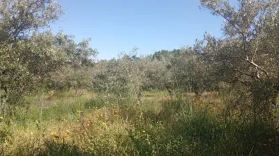 Chalet in Villanueva de La Vera photo 91