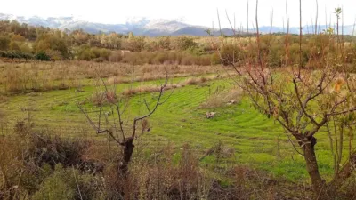 Rustic farm in Villanueva de La Vera photo 14
