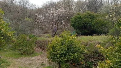Rustic Finca in Valverde de La Vera photo 24