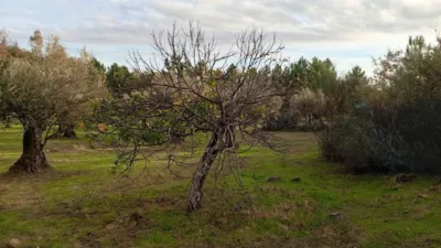 Rustic Finca in Villanueva de La Vera photo 13