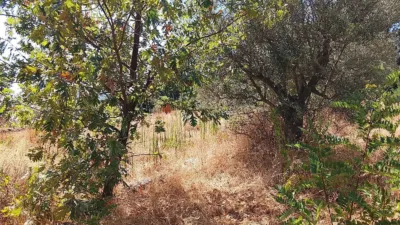 Rustic finca in Talaveruela de La Vera photo 14