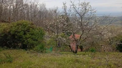 Rustic Finca in Valverde de La Vera photo 39