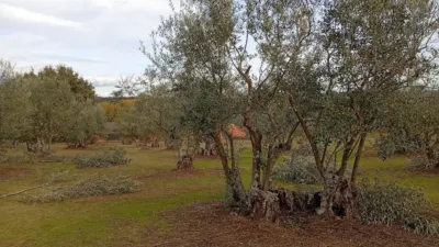 Rustic finca in Villanueva de La Vera photo 26